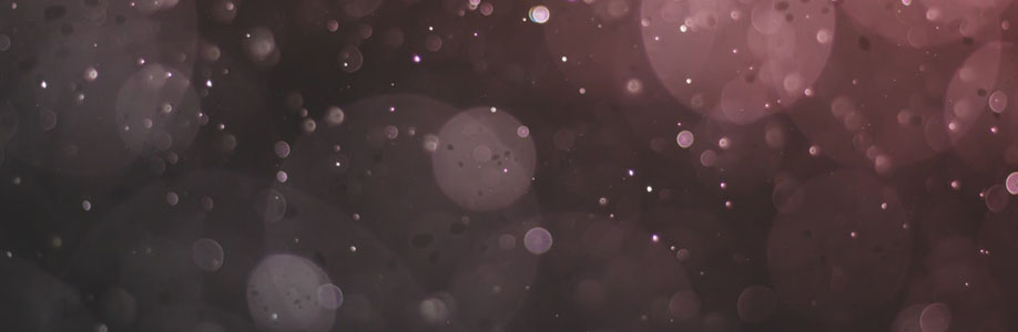 Rosemarie Prosacco Cover Image